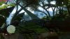 farcry3_d3d11 2012-11-30 22-41-22-83.jpg